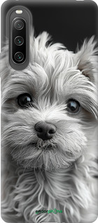 Силиконовый чехол Мальтипу на чорном фоне для Sony Xperia 10 IV - 6156u-2789 изображение 