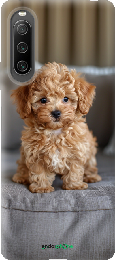 Силиконовый чехол Mini-maltipoo для Sony Xperia 10 IV - 6158u-2789 изображение 