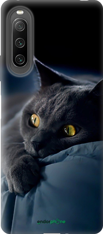 Силиконовый чехол Дымчатый кот для Sony Xperia 10 IV - 825u-2789 изображение 