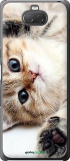2D пластиковый чехол Котик для Sony Xperia 10 Plus I4213 - 6024t-1690 изображение 