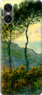 Силиконовый чехол Клод Моне для Sony Xperia 10 VI - 1193u-3976 изображение 