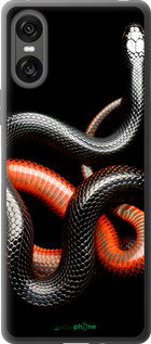Силиконовый чехол Красно-черная змея на черном фоне для Sony Xperia 10 VI - 4063u-3976 изображение 