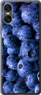Силиконовый чехол Голубика для Sony Xperia 10 VI - 4459u-3976 изображение 