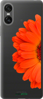 Силиконовый чехол Гербера 1 для Sony Xperia 10 VI - 4534u-3976 изображение 