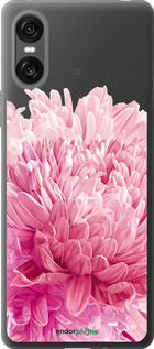Силиконовый чехол Хризантема для Sony Xperia 10 VI - 4666u-3976 изображение 