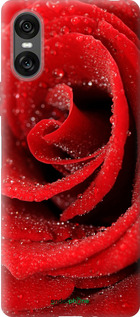 Силіконовий чехол Червона троянда для Sony Xperia 10 VI - 529u-3976 изображение 