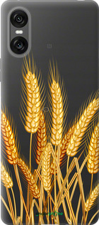 Силиконовый чехол Колоски пшеници для Sony Xperia 10 VI - 5866u-3976 изображение 