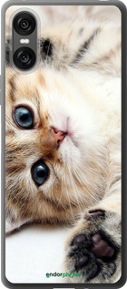 Силиконовый чехол Котик для Sony Xperia 10 VI - 6024u-3976 изображение 