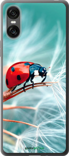 Силиконовый чехол Божья коровка для Sony Xperia 10 VI - 6049u-3976 изображение 