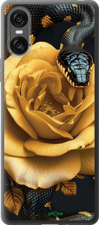 Силіконовий чехол Black snake and golden rose для Sony Xperia 10 VI - 6068u-3976 изображение 