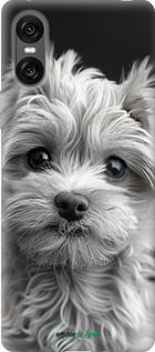 Силиконовый чехол Мальтипу на чорном фоне для Sony Xperia 10 VI - 6156u-3976 изображение 