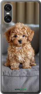 Силіконовий чехол Mini-maltipoo для Sony Xperia 10 VI - 6158u-3976 изображение 