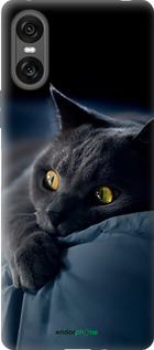 Силіконовий чохол 'Димчастий кіт' для Sony Xperia 10 VI зображення 2