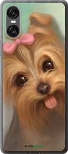 Силиконовый чехол Нарисованный йоркширский терьер для Sony Xperia 10 VI - 928u-3976 изображение 