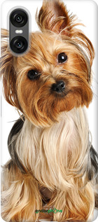 Силиконовый чехол Йоркширский терьер с хвостиком для Sony Xperia 10 VI - 930u-3976 изображение 