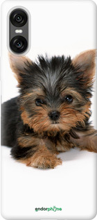 Силиконовый чехол Щенок йоркширского терьера для Sony Xperia 10 VI - 931u-3976 изображение 