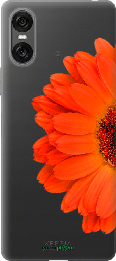 Силиконовый чехол Гербера 1 для Sony Xperia 10 VI - 4534u-3976 изображение 