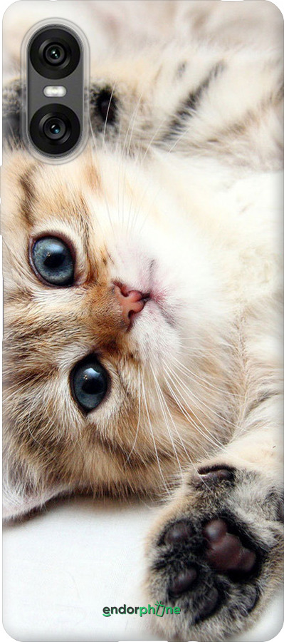 Силиконовый чехол Котик для Sony Xperia 10 VI - 6024u-3976 изображение 