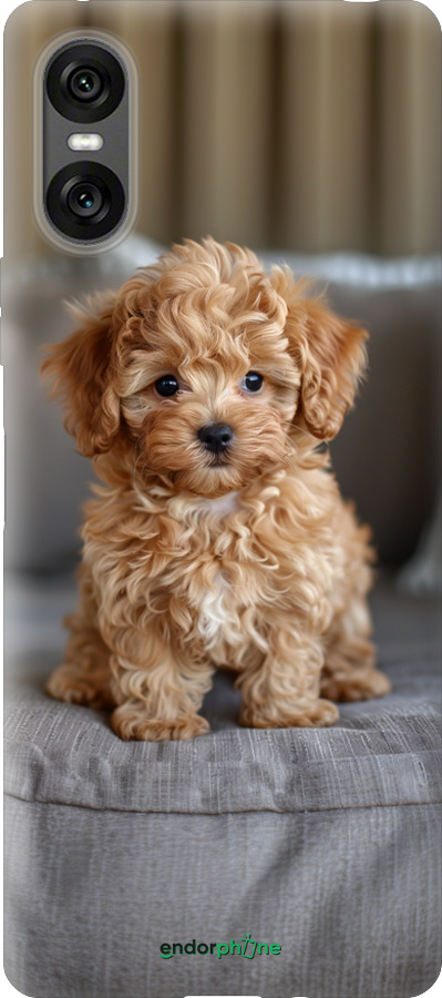 Силіконовий чехол Mini-maltipoo для Sony Xperia 10 VI - 6158u-3976 изображение 