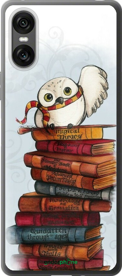 Силиконовый чехол Сова и книги для Sony Xperia 10 VI - 6436u-3976 изображение 