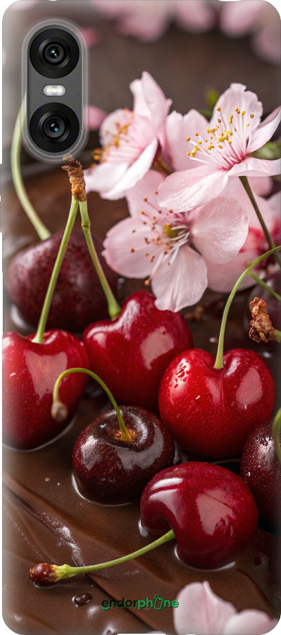 Силиконовый чехол Вишня в шоколаде для Sony Xperia 10 VI - 6698u-3976 изображение 