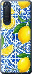 2D пластиковий чехол Grocery Girl Italian Summer для Sony Xperia 5 II - 6766t-2258 изображение 