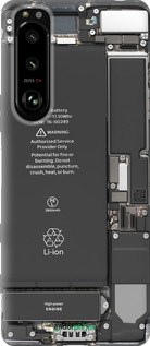 Силиконовый чехол Детали смартфона для Sony Xperia 5 III - 5487u-2580 изображение 