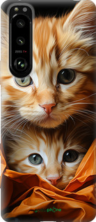 Силиконовый чехол Котики 2 для Sony Xperia 5 III - 5664u-2580 изображение 