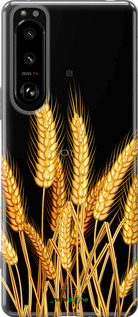 Силиконовый чехол Колоски пшеници для Sony Xperia 5 III - 5866u-2580 изображение 
