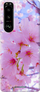 Силіконовий чехол Сакура для Sony Xperia 5 III - 6029u-2580 изображение 