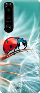 Силиконовый чехол Божья коровка для Sony Xperia 5 III - 6049u-2580 изображение 