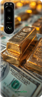 Силиконовый чехол Слитки и доллары для Sony Xperia 5 III - 6105u-2580 изображение 