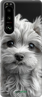 Силиконовый чехол Мальтипу на чорном фоне для Sony Xperia 5 III - 6156u-2580 изображение 