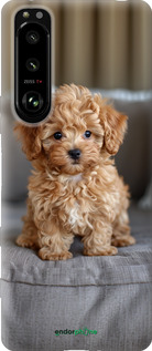 Силиконовый чехол Mini-maltipoo для Sony Xperia 5 III - 6158u-2580 изображение 