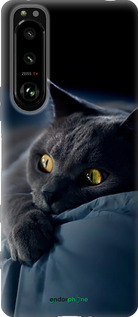 Силіконовий чохол 'Димчастий кіт' для Sony Xperia 5 III зображення 2