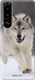 Силиконовый чехол Бегущий волк для Sony Xperia 5 III - 826u-2580 изображение 