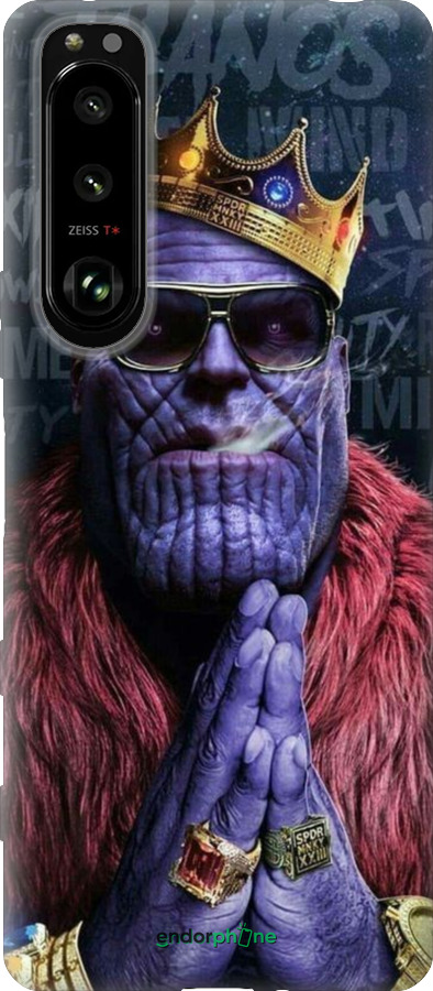 Силиконовый чехол № 5389 для Sony Xperia 5 III - 5389u-2580 изображение 