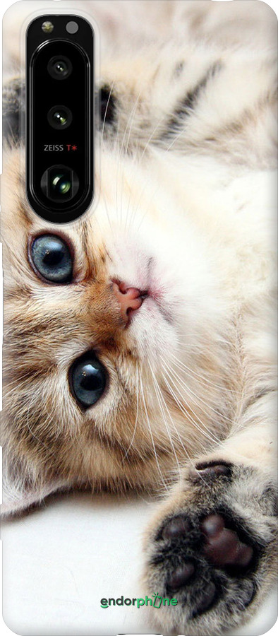 Силиконовый чехол Котик для Sony Xperia 5 III - 6024u-2580 изображение 