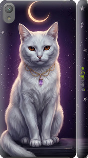 3D пластиковий глянцевий чехол Mystic White Cat Gothic Dark Purple Gold для Sony Xperia E5 F3311 - 6805c-458 изображение 