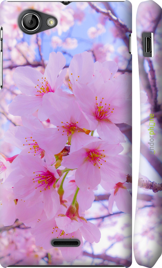 3D пластиковый глянцевый чехол Сакура для Sony Xperia J ST26i - 6029c-779 изображение 