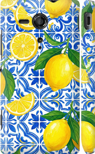 3D пластиковый глянцевый чехол Grocery Girl Italian Summer для Sony Xperia SP M35H - 6766c-280 изображение 