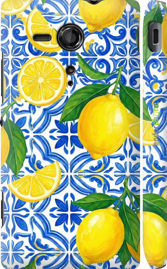 3D пластиковый глянцевый чехол Grocery Girl Italian Summer для Sony Xperia SP M35H - 6766c-280 изображение 