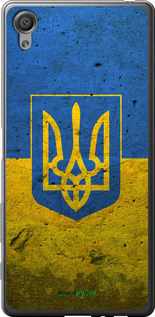 2D пластиковый чехол Флаг и герб Украины 2 для Sony Xperia X F5122 - 378t-446 изображение 