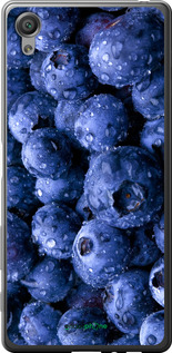 2D пластиковый чехол Голубика для Sony Xperia X F5122 - 4459t-446 изображение 