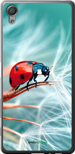 2D пластиковый чехол Божья коровка для Sony Xperia X F5122 - 6049t-446 изображение 