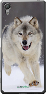 2D пластиковый чехол Бегущий волк для Sony Xperia X F5122 - 826t-446 изображение 
