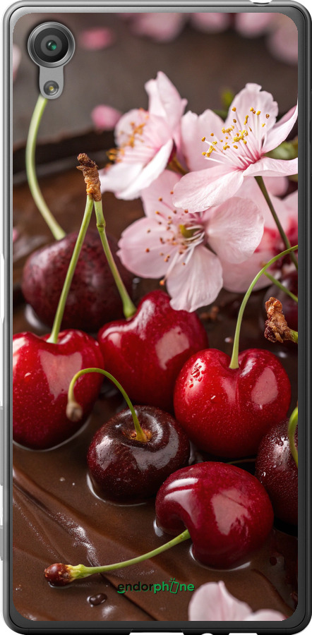 2D пластиковый чехол Вишня в шоколаде для Sony Xperia X F5122 - 6698t-446 изображение 