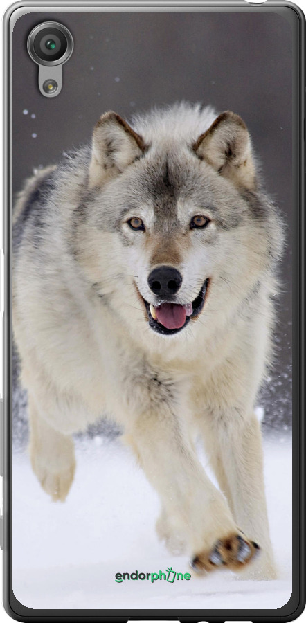 2D пластиковый чехол Бегущий волк для Sony Xperia X F5122 - 826t-446 изображение 
