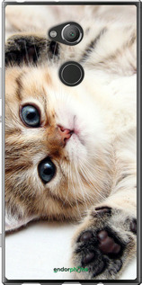 Силіконовий чехол Котик для Sony Xperia XA2 Ultra H4213 - 6024u-1366 изображение 