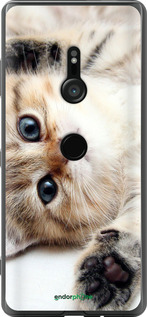 Силиконовый чехол Котик для Sony Xperia XZ3 H9436 - 6024u-1540 изображение 